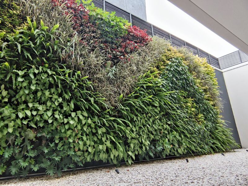 VERTICAL GARDEN